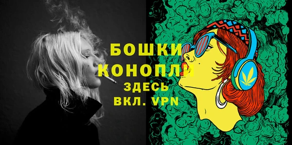 мдпв Навашино