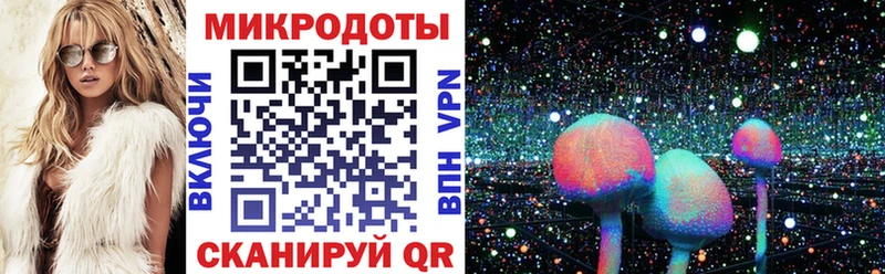 Галлюциногенные грибы Psilocybe  blacksprut ссылка  Обоянь 